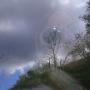 Jennifer Tripp Photo 22