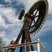 Debra Nicholson Photo 16