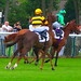 Diane Fees Photo 6