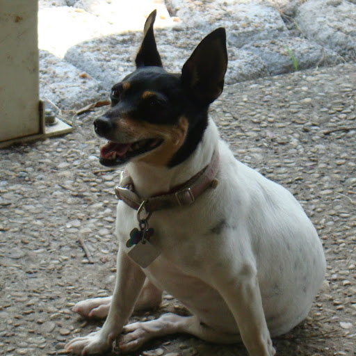 Judy West Photo 42