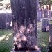 Rachel Wilcox Photo 8
