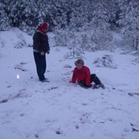 Ann Thacker Photo 7