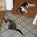 Jeanie Mason Photo 6