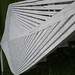Robert Bone Photo 34