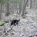 Bonnie Wood Photo 15