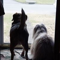 Donna Marcotte Photo 9