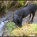 Julie Weathers Photo 18