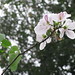 Ben Lang Photo 18