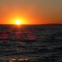 Peggy Halverson Photo 6