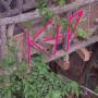 Katie Palmer Photo 22