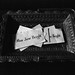 Jane Bright Photo 14