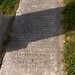 Elizabeth Bryan Photo 25