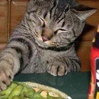 Michelle Hartwell Photo 20