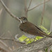 Gray Magee Photo 11