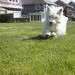 Brodie Chase Photo 11