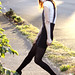 Robin Barton Photo 35