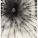 Matthew Stromberg Photo 16