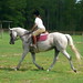 Jeanne Hunter Photo 14