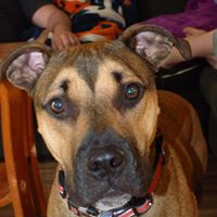 Ginny Francis Photo 8