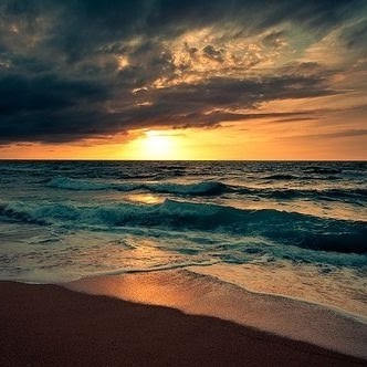 Ed Andrade Photo 20