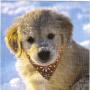 Kathy Dahlke Photo 10