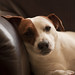 Jack Duke Photo 5