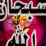 Sadia Arshad Photo 23