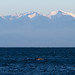 Victoria Gray Photo 14
