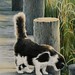 Sherry Foster Photo 16