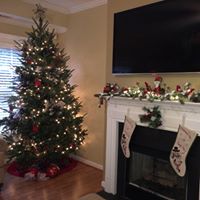 Heidi Holmes Photo 8