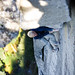 Jason Kruk Photo 10