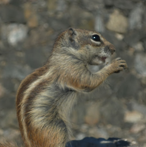 Patrick Kolb Photo 36