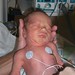 Russell Larson Photo 21