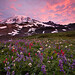 Kevin Meadows Photo 19