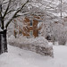 Nancy Harris Photo 16