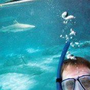 Scott Tripp Photo 9