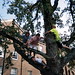 Howard Magee Photo 12
