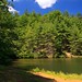 Roger Hale Photo 16