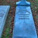Elizabeth Reed Photo 25