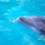 Heather Swope Photo 15