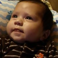 Shelly Beck Photo 39