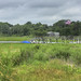 William Brewster Photo 47