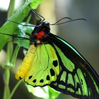 John Aponte Photo 26