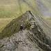 Charlie Sharp Photo 17