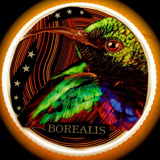 Sarah Borealis Photo 2