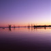Victoria Lake Photo 13