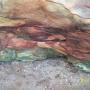 Teresa Tripp Photo 31
