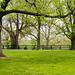 David Woodford Photo 16