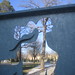 Steve Jensen Photo 39