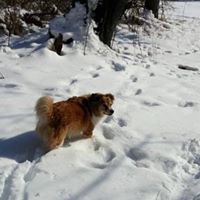 Penny Timmons Photo 10